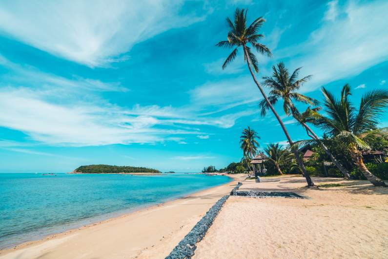 Caribbean translation services