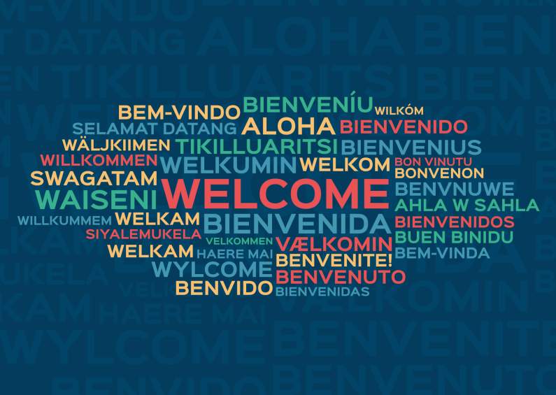 multi-language website