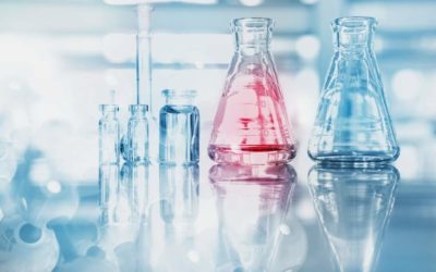 Traduzioni scientifiche: l’importanza delle parole