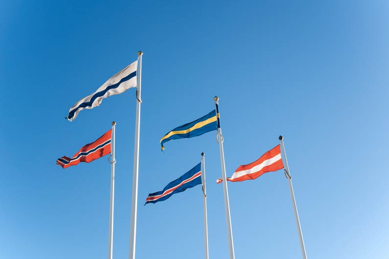 A Brief Guide to Scandinavian Languages