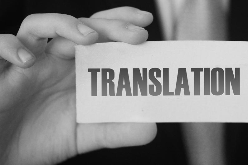 Measuring the Quality of Translation Services